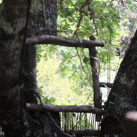 Les Landines Bed and Breakfast Origne  Εξωτερικό φωτογραφία