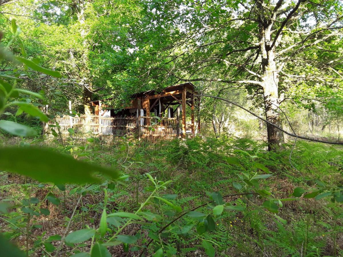 Les Landines Bed and Breakfast Origne  Εξωτερικό φωτογραφία