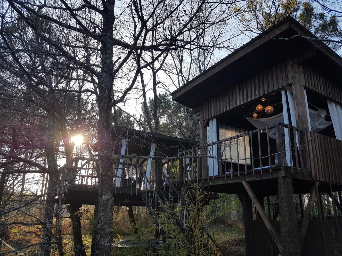 Les Landines Bed and Breakfast Origne  Εξωτερικό φωτογραφία