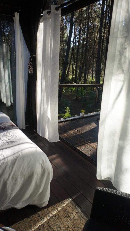Les Landines Bed and Breakfast Origne  Εξωτερικό φωτογραφία