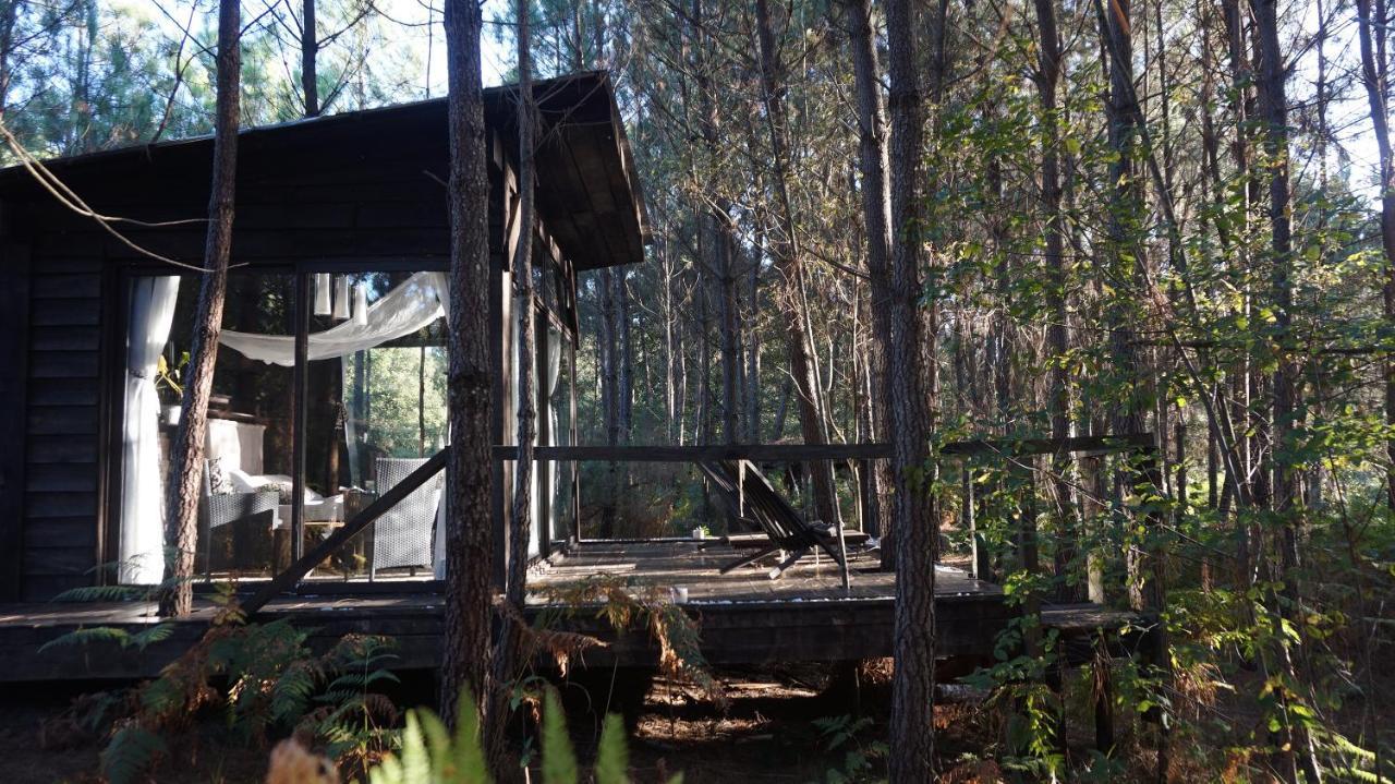 Les Landines Bed and Breakfast Origne  Εξωτερικό φωτογραφία